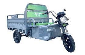 legende 1-TRIPORTEUR ELECTRIQUE TRICARGO-500